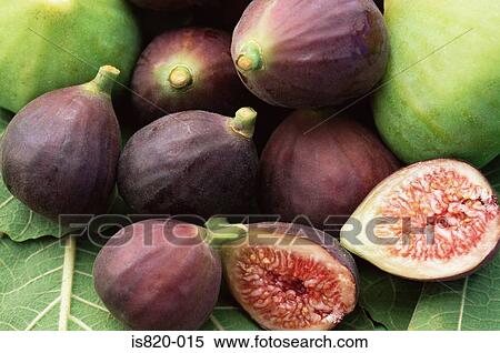 Figs View Large Photo Image Stock Photography - Figs. Fotosearch