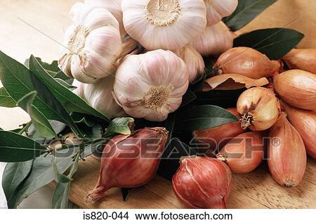 Garlic onions and bay leaves View Large Photo Image Picture - Garlic onions and bay leaves. Fotosearch