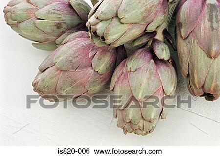 Globe artichokes View Large Photo Image Stock Photograph - Globe artichokes. Fotosearch