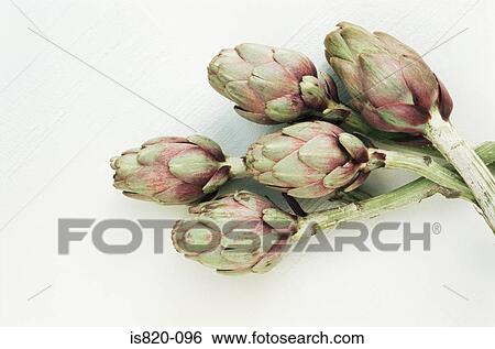 Globe artichokes View Large Photo Image Stock Photograph - Globe artichokes. Fotosearch