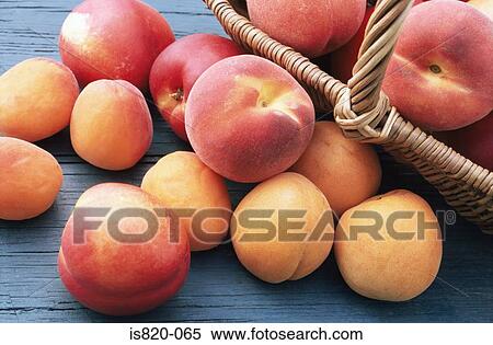 Peaches and apricots in a basket View Large Photo Image Stock Photography - Peaches and apricots in a basket. Fotosearch