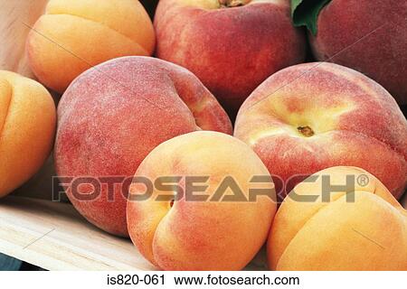 Peaches View Large Photo Image Stock Image - Peaches. Fotosearch