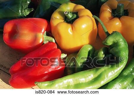 Variety of peppers View Large Photo Image Picture - Variety of peppers. Fotosearch