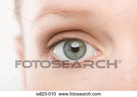 A womans eye View Large Photo Image Stock Image - A womans eye. Fotosearch