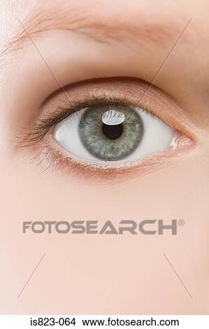 A young womans eye View Large Photo Image Picture - A young womans eye. Fotosearch