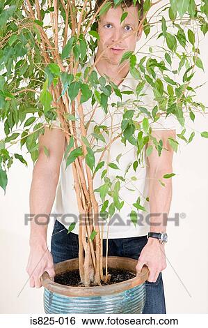 Stock Photograph - Man holding houseplant. Fotosearch