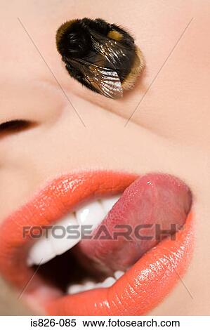 Woman with a bee on her face View Large Photo Image Stock Photography - Woman with a bee on her face. Fotosearch
