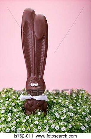 Chocolate rabbit View Large Photo Image Stock Image - Chocolate rabbit. Fotosearch