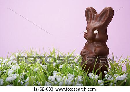 Chocolate rabbit View Large Photo Image Stock Photo - Chocolate rabbit. Fotosearch