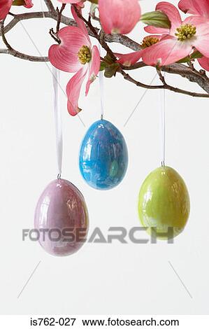 Stock Photo - Eggs hanging from a tree. Fotosearch