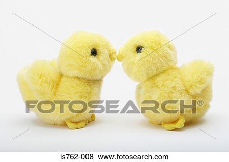 Two fluffy chicks View Large Photo Image Stock Photo - Two fluffy chicks. Fotosearch