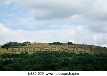 Stock Photo - Rural scene. Fotosearch