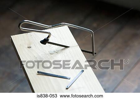 Hacksaw in wood View Large Photo Image Stock Image - Hacksaw in wood. Fotosearch