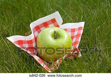 Apple and napkin on grass View Large Photo Image Stock Photograph - Apple and napkin on grass. Fotosearch