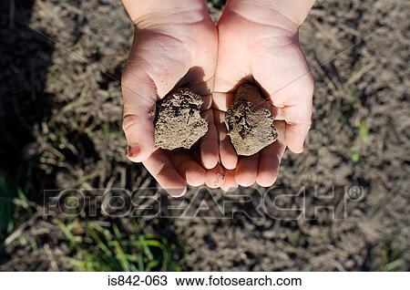 Child with handfuls of soil View Large Photo Image Stock Image - Child with handfuls of soil. Fotosearch