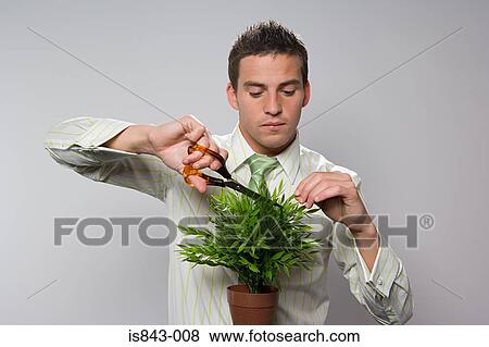 Man pruning plant View Large Photo Image Stock Photo - Man pruning plant. Fotosearch