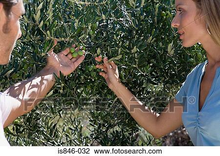 Couple looking at olives View Large Photo Image Stock Image - Couple looking at olives. Fotosearch