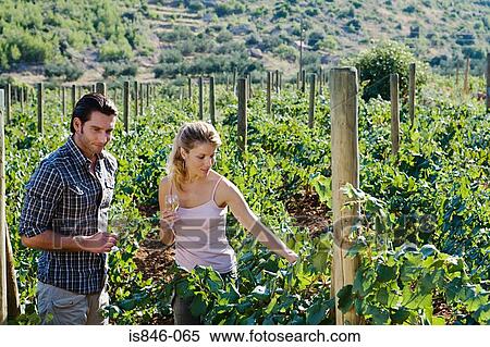 Couple looking at vineyard View Large Photo Image Stock Photography - Couple looking at vineyard. Fotosearch