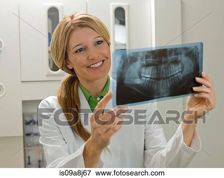 Dentist looking at x-ray, smiling View Large Photo Image Stock Photo - Dentist looking at x-ray, smiling. Fotosearch