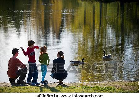 Stock Image - Family in park feeding ducks. Fotosearch