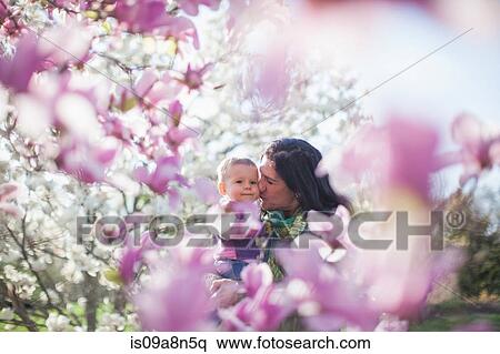 Granddaughter and grandmother amongst magnolia blossom View Large Photo Image Stock Photography - Granddaughter and grandmother amongst magnolia blossom. Fotosearch