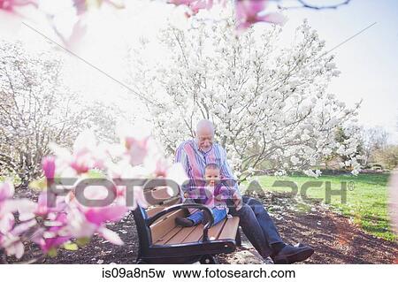 Grandfather and grandchild on park bench View Large Photo Image Stock Photo - Grandfather and grandchild on park bench. Fotosearch