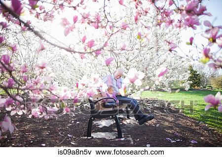 Stock Photo - Grandfather and granddaughter amongst magnolia blossom. Fotosearch