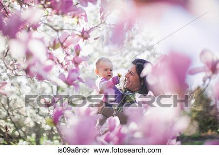 Grandmother and granddaughter amongst magnolia blossom View Large Photo Image Stock Photography - Grandmother and granddaughter amongst magnolia blossom. Fotosearch