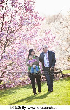 Grandparents and granddaughter walking in park View Large Photo Image Stock Photo - Grandparents and granddaughter walking in park. Fotosearch