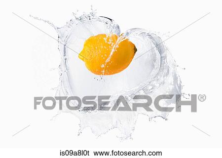 Lemon splashing in liquid View Large Photo Image Stock Photograph - Lemon splashing in liquid. Fotosearch