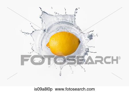 Lemon splashing in liquid View Large Photo Image Stock Photography - Lemon splashing in liquid. Fotosearch