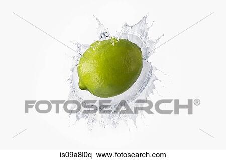 Lime splashing in liquid View Large Photo Image Stock Photography - Lime splashing in liquid. Fotosearch