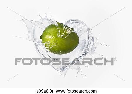 Lime splashing in liquid View Large Photo Image Stock Photography - Lime splashing in liquid. Fotosearch