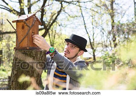 Man looking at bird house View Large Photo Image Stock Photo - Man looking at bird house. Fotosearch