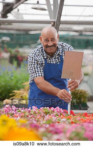Mature gardener working in garden centre, smiling View Large Photo Image Stock Image - Mature gardener working in garden centre, smiling. Fotosearch