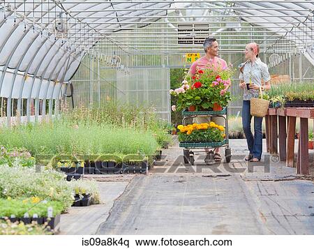 Mature man and mid adult woman shopping in garden centre View Large Photo Image Stock Photography - Mature man and mid adult woman shopping in garden centre. Fotosearch