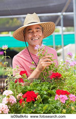 Picture - Mature man holding flowers in garden centre, smiling. Fotosearch