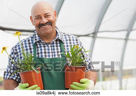 Stock Image - Mature man holding plant pots in garden centre, portrait. Fotosearch