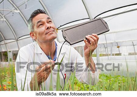 Stock Image - Mature man holding solar panel over plants in greenhouse. Fotosearch