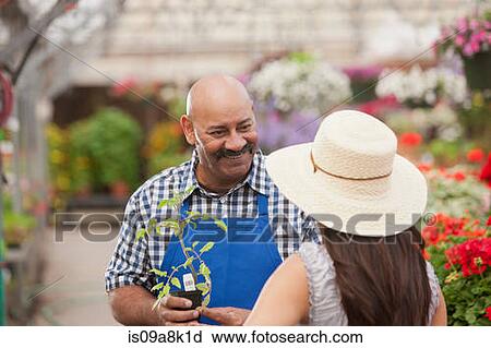 Stock Image - Mature man serving young woman in garden centre, smiling. Fotosearch