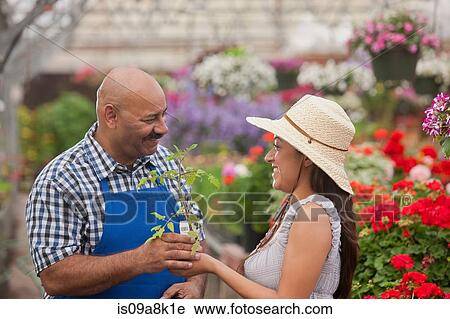 Stock Image - Mature man serving young woman in garden centre, smiling. Fotosearch