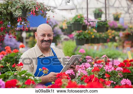 Mature man using clipboard in garden centre, portrait View Large Photo Image Stock Photograph - Mature man using clipboard in garden centre, portrait. Fotosearch