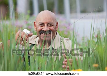Stock Image - Mature man using insecticide on plants in greenhouse, portrait. Fotosearch