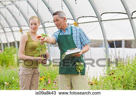 Mature sales assistant and mid adult woman in garden centre View Large Photo Image Stock Image - Mature sales assistant and mid adult woman in garden centre. Fotosearch