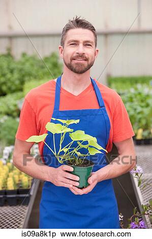 Mid adult man holding plant in garden centre, portrait View Large Photo Image Stock Photography - Mid adult man holding plant in garden centre, portrait. Fotosearch