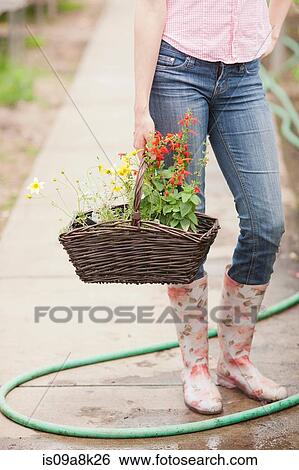 Mid adult woman carrying basket of flowers in garden centre, low section View Large Photo Image Stock Photograph - Mid adult woman carrying basket of flowers in garden centre, low section. Fotosearch