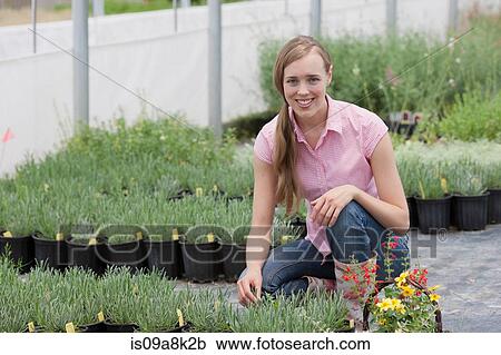 Mid adult woman crouching by plants in garden centre, portrait View Large Photo Image Stock Image - Mid adult woman crouching by plants in garden centre, portrait. Fotosearch