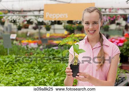 Mid adult woman holding plant in garden centre, portrait View Large Photo Image Stock Photography - Mid adult woman holding plant in garden centre, portrait. Fotosearch