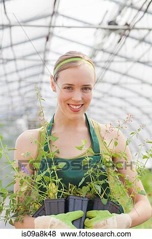 Mid adult woman holding plants in garden centre, portrait View Large Photo Image Stock Photo - Mid adult woman holding plants in garden centre, portrait. Fotosearch