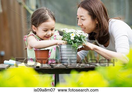 Mother and young daughter potting daisy plant in garden View Large Photo Image Stock Photo - Mother and young daughter potting daisy plant in garden. Fotosearch